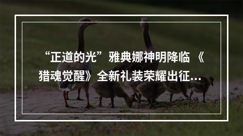 “正道的光”雅典娜神明降临 《猎魂觉醒》全新礼装荣耀出征--安卓攻略网