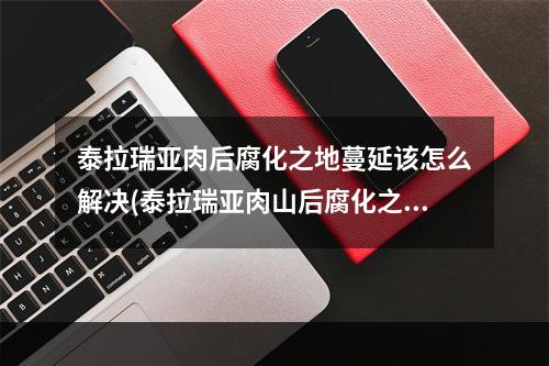 泰拉瑞亚肉后腐化之地蔓延该怎么解决(泰拉瑞亚肉山后腐化之地蔓延该怎么样处理)