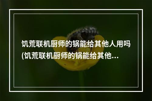 饥荒联机厨师的锅能给其他人用吗(饥荒联机厨师的锅能给其他人用吗安全吗)