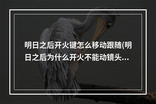 明日之后开火键怎么移动跟随(明日之后为什么开火不能动镜头)