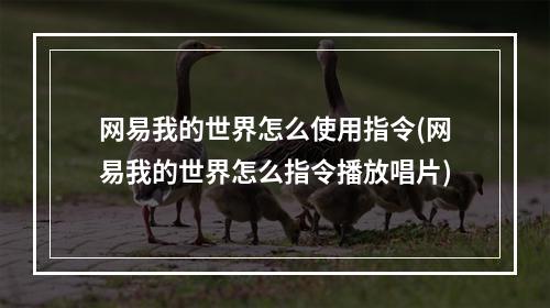 网易我的世界怎么使用指令(网易我的世界怎么指令播放唱片)