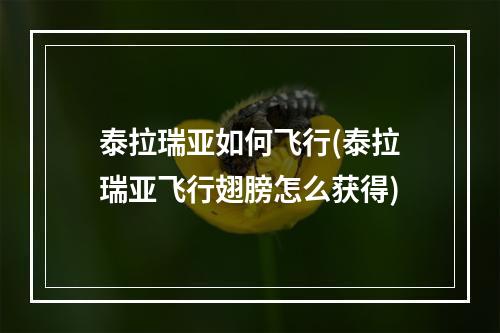 泰拉瑞亚如何飞行(泰拉瑞亚飞行翅膀怎么获得)