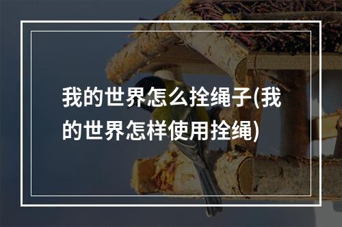 我的世界怎么拴绳子(我的世界怎样使用拴绳)