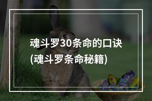 魂斗罗30条命的口诀(魂斗罗条命秘籍)