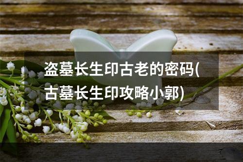 盗墓长生印古老的密码(古墓长生印攻略小郭)