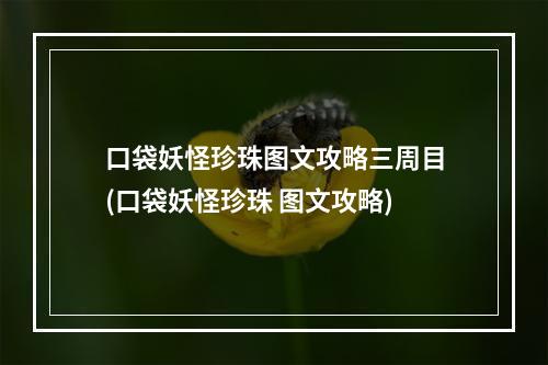 口袋妖怪珍珠图文攻略三周目(口袋妖怪珍珠 图文攻略)