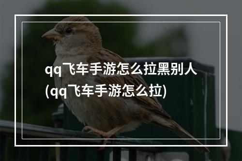 qq飞车手游怎么拉黑别人(qq飞车手游怎么拉)