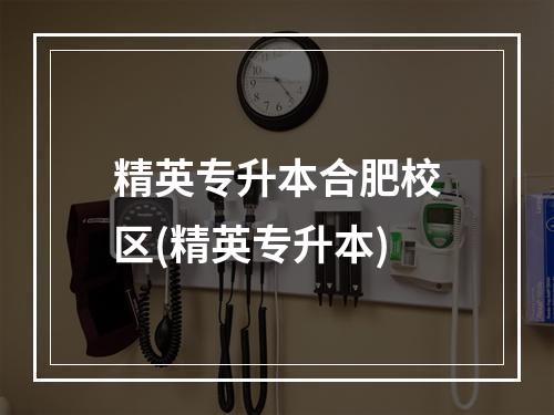 精英专升本合肥校区(精英专升本)