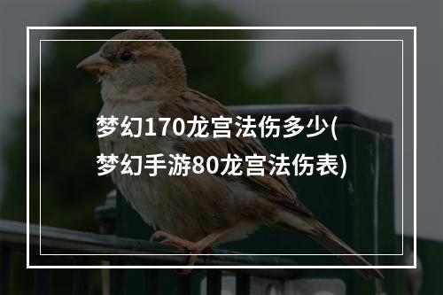 梦幻170龙宫法伤多少(梦幻手游80龙宫法伤表)