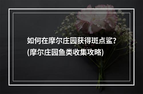 如何在摩尔庄园获得斑点鲨？(摩尔庄园鱼类收集攻略)