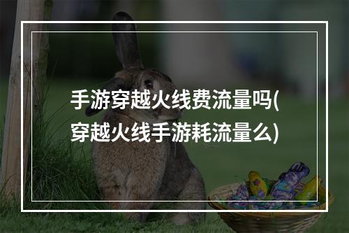 手游穿越火线费流量吗(穿越火线手游耗流量么)