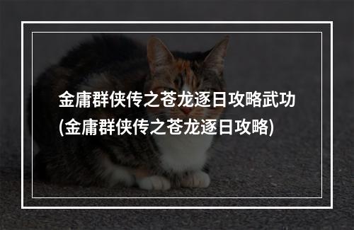 金庸群侠传之苍龙逐日攻略武功(金庸群侠传之苍龙逐日攻略)