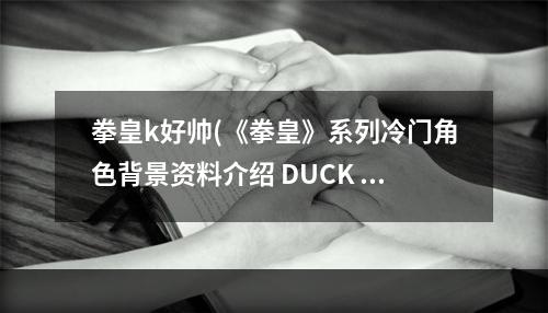 拳皇k好帅(《拳皇》系列冷门角色背景资料介绍 DUCK KIN与娜可)