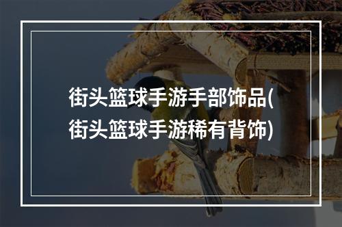 街头篮球手游手部饰品(街头篮球手游稀有背饰)