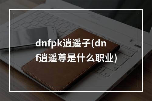 dnfpk逍遥子(dnf逍遥尊是什么职业)