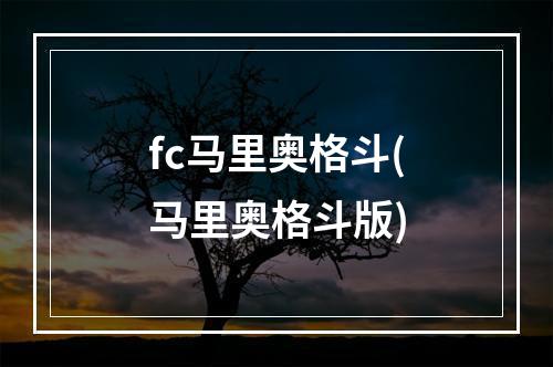 fc马里奥格斗(马里奥格斗版)