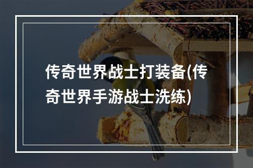 传奇世界战士打装备(传奇世界手游战士洗练)