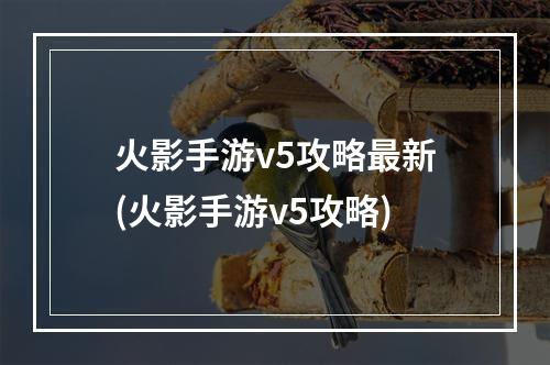 火影手游v5攻略最新(火影手游v5攻略)