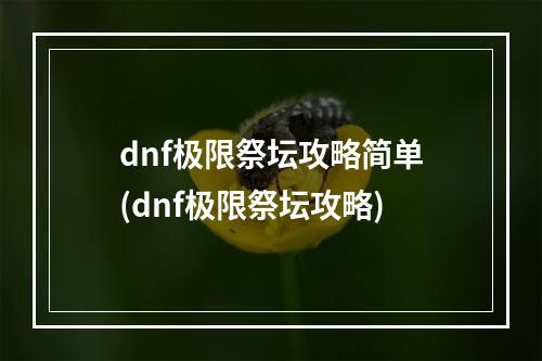 dnf极限祭坛攻略简单(dnf极限祭坛攻略)