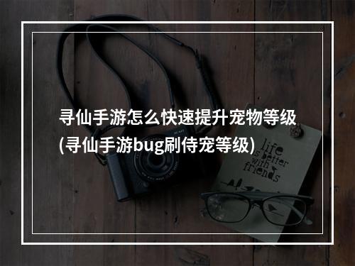 寻仙手游怎么快速提升宠物等级(寻仙手游bug刷侍宠等级)