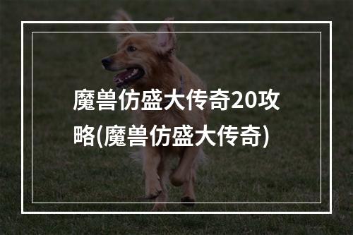 魔兽仿盛大传奇20攻略(魔兽仿盛大传奇)