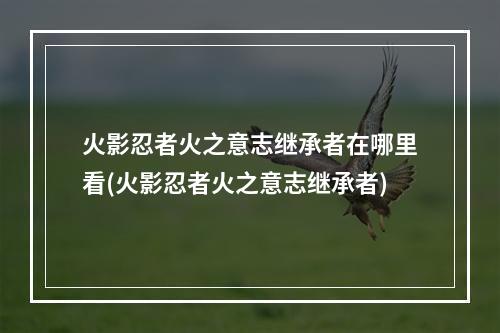 火影忍者火之意志继承者在哪里看(火影忍者火之意志继承者)