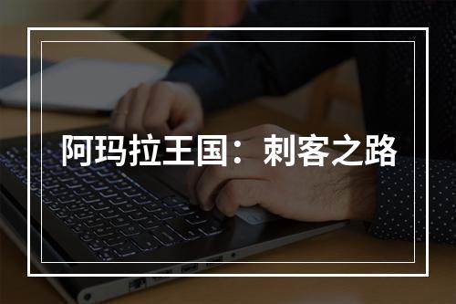 阿玛拉王国：刺客之路