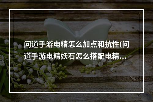 问道手游电精怎么加点和抗性(问道手游电精妖石怎么搭配电精最强妖石选择方法详解)