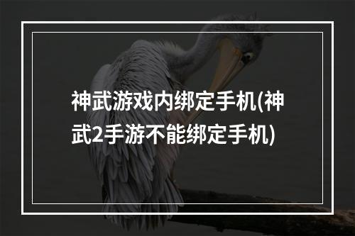 神武游戏内绑定手机(神武2手游不能绑定手机)