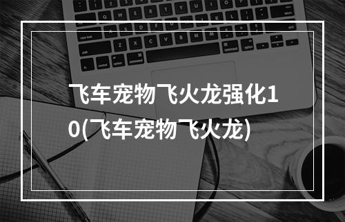飞车宠物飞火龙强化10(飞车宠物飞火龙)