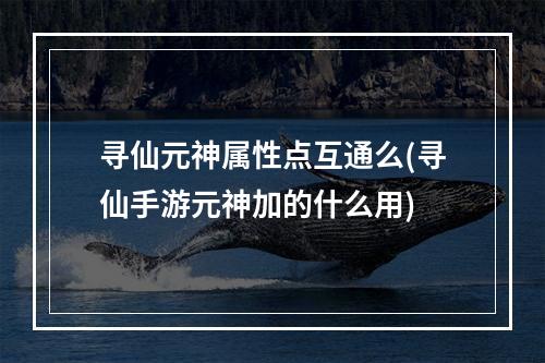 寻仙元神属性点互通么(寻仙手游元神加的什么用)