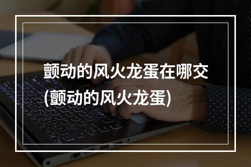 颤动的风火龙蛋在哪交(颤动的风火龙蛋)