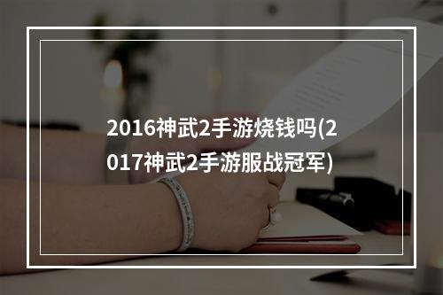 2016神武2手游烧钱吗(2017神武2手游服战冠军)