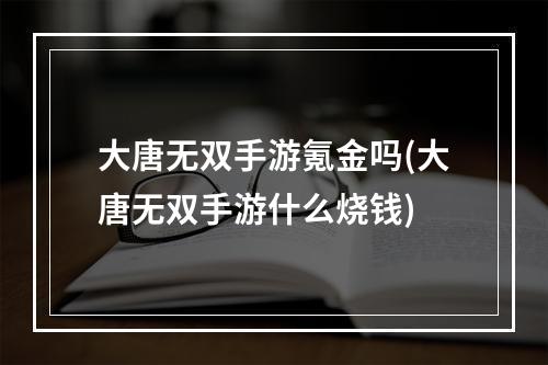 大唐无双手游氪金吗(大唐无双手游什么烧钱)