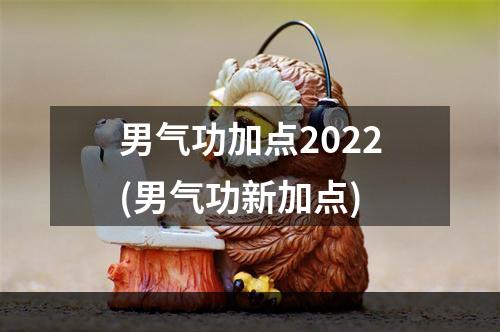 男气功加点2022(男气功新加点)