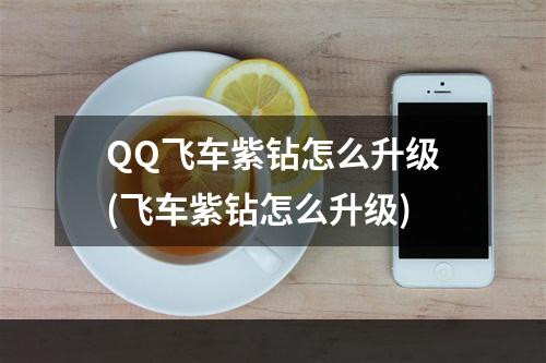 QQ飞车紫钻怎么升级(飞车紫钻怎么升级)