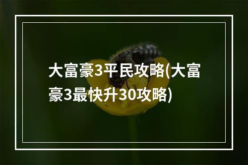 大富豪3平民攻略(大富豪3最快升30攻略)