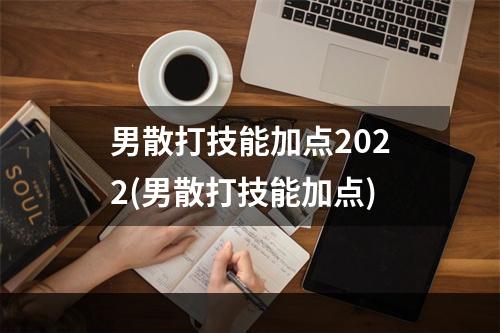 男散打技能加点2022(男散打技能加点)