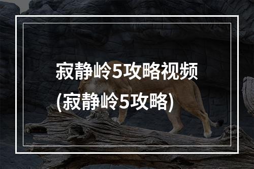 寂静岭5攻略视频(寂静岭5攻略)