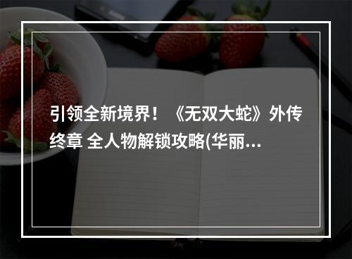 引领全新境界！《无双大蛇》外传终章 全人物解锁攻略(华丽新篇章)