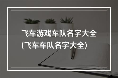 飞车游戏车队名字大全(飞车车队名字大全)