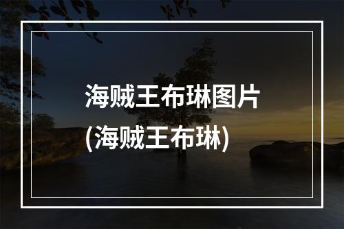 海贼王布琳图片(海贼王布琳)