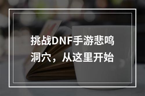 挑战DNF手游悲鸣洞穴，从这里开始