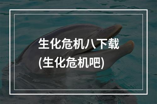 生化危机八下载(生化危机吧)