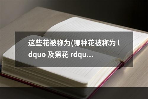 这些花被称为(哪种花被称为 ldquo 及第花 rdquo  蚂蚁庄园9月14日答案最新)