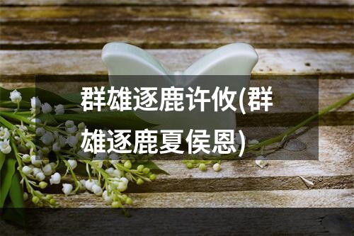 群雄逐鹿许攸(群雄逐鹿夏侯恩)