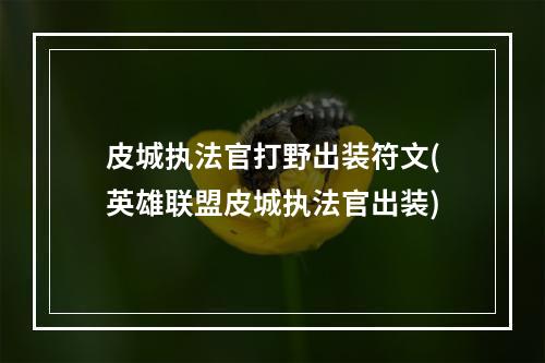 皮城执法官打野出装符文(英雄联盟皮城执法官出装)