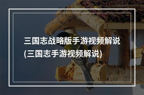 三国志战略版手游视频解说(三国志手游视频解说)