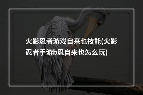 火影忍者游戏自来也技能(火影忍者手游b忍自来也怎么玩)