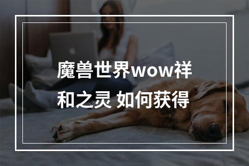 魔兽世界wow祥和之灵 如何获得